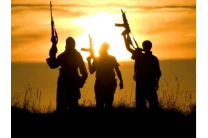Deux raids dans le nord du Nigeria font au moins 28 morts