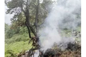Inde : un deuxième crash d'avion a fait des morts dans les montagnes de l'Himalaya