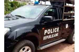 Bénin : 17 bœufs et des motos volés à Bassila, des suspects interpellés