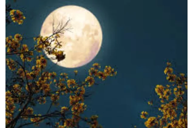 Pleine Lune du mois de juillet 2025 : une impulsion décisive pour ces 03 signes du zodiaque 