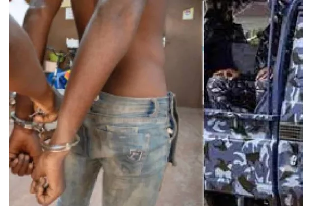 Èkpè : 13 individus interpellés pour trafic de produits psychotropes