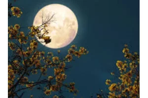 Pleine Lune du mois de juillet 2025 : une impulsion décisive pour ces 03 signes du zodiaque 