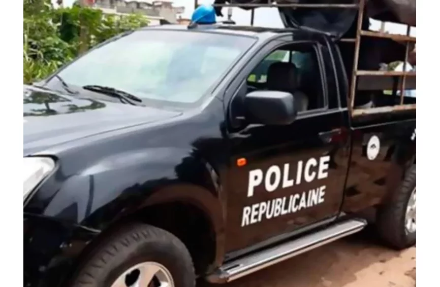Bénin : 17 bœufs et des motos volés à Bassila, des suspects interpellés
