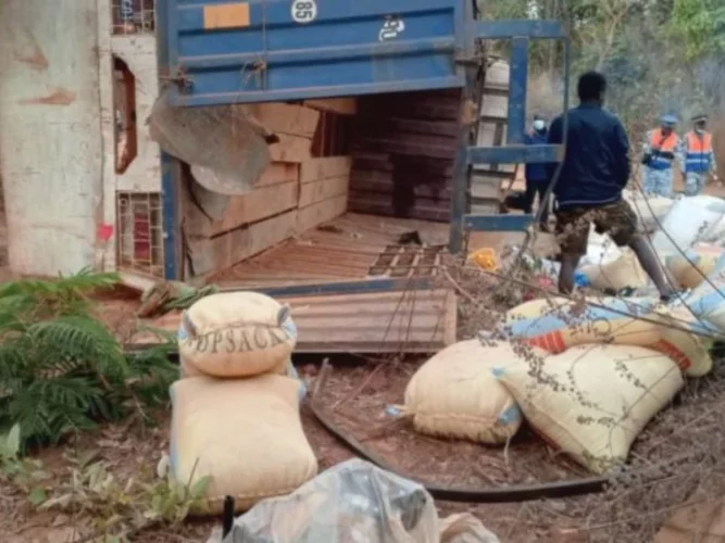 Côte d'Ivoire : 14 morts et 21 blessés enregistrés dans un accident de la circulation à Madinani