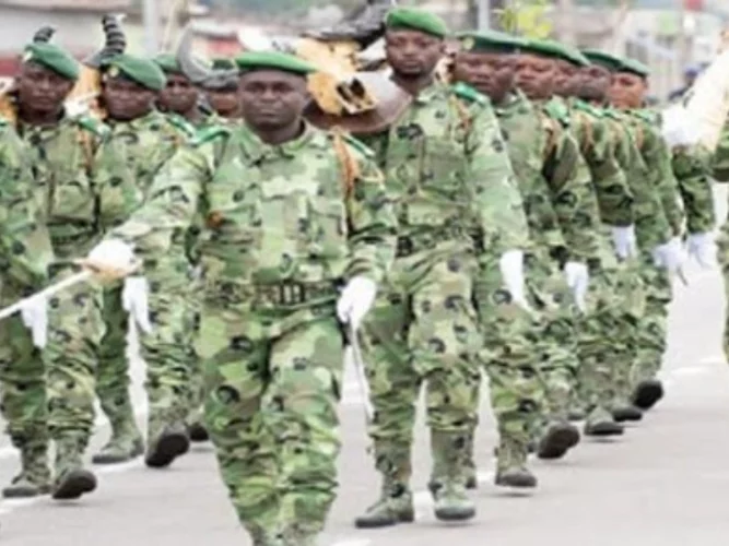 Bénin : Vers une réforme du cadre juridique forestier 