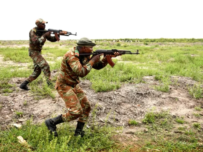 Bénin : l'armée neutralise 17 terroristes dans le Parc Pendjari