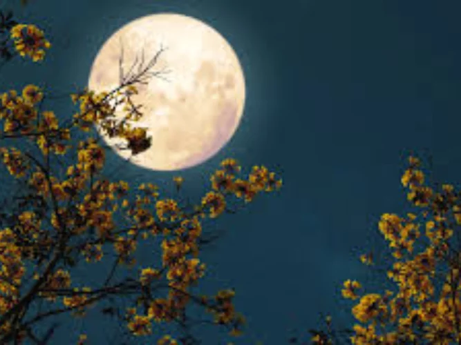 Pleine Lune du mois de juillet 2025 : une impulsion décisive pour ces 03 signes du zodiaque 