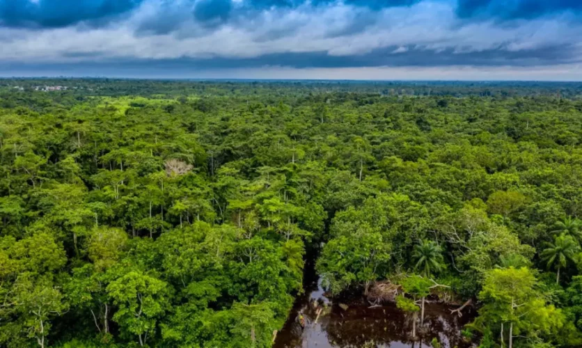 Bénin : Les forêts des Monts Kouffè et de Wari Maro passent sous statut de parc national